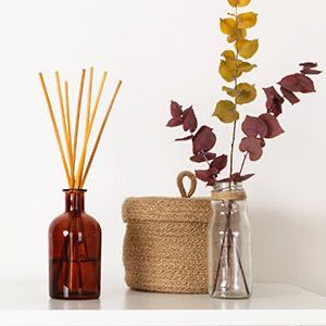 Ambientadores y ozonos